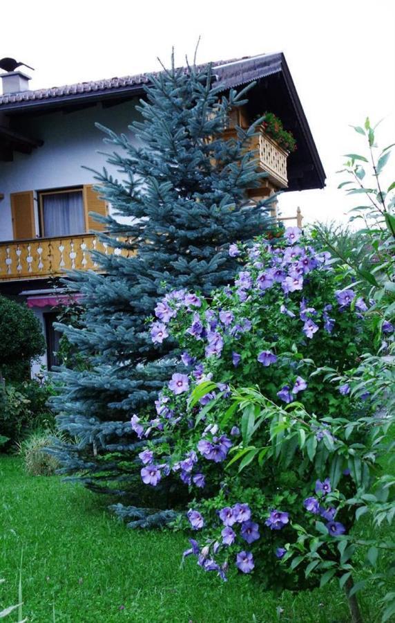 Gaestehaus Loedermann Garmisch-Partenkirchen Dış mekan fotoğraf